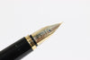 PILOT Maki-e Phoenix Fountain Pen 14k Nib With Case From Japan 092 6432707 - World Quickdo