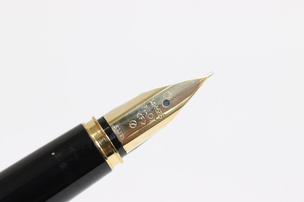 PILOT Maki-e Phoenix Fountain Pen 14k Nib With Case From Japan 092 6432707 - World Quickdo