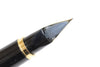 PILOT Maki-e Phoenix Fountain Pen 14k Nib With Case From Japan 092 6432707 - World Quickdo