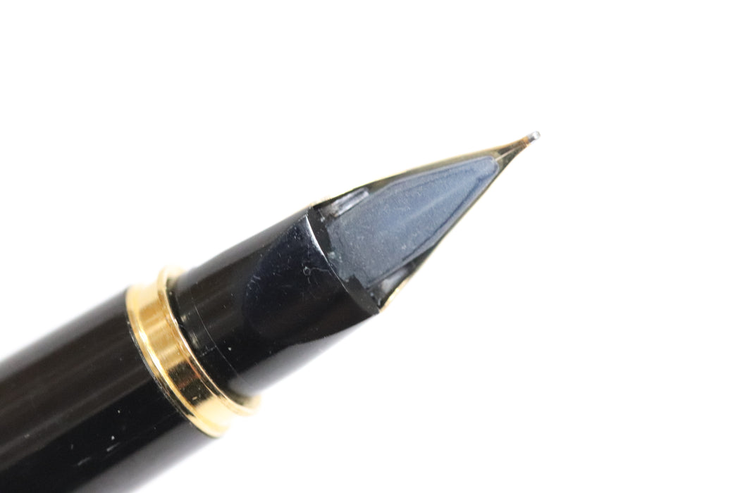 PILOT Maki-e Phoenix Fountain Pen 14k Nib With Case From Japan 092 6432707 - World Quickdo