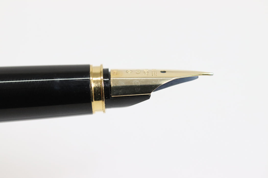 PILOT Maki-e Phoenix Fountain Pen 14k Nib With Case From Japan 092 6432707 - World Quickdo