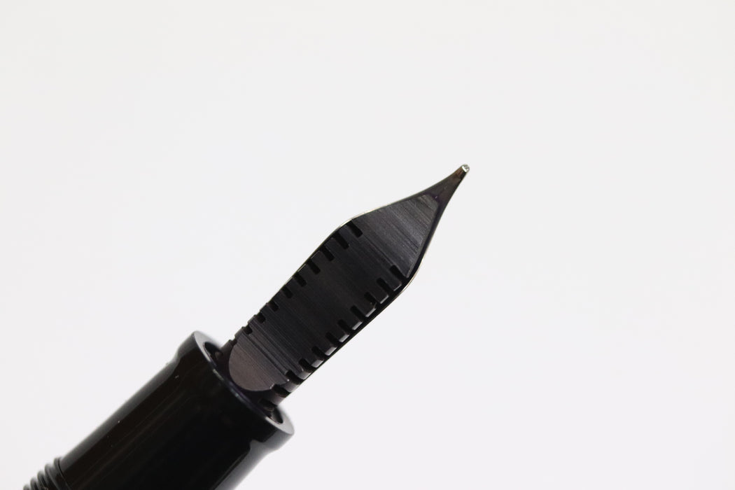 OMAS T2 Titanium Fountain Pen 556 With Case From Japan 081 6405545 - World Quickdo