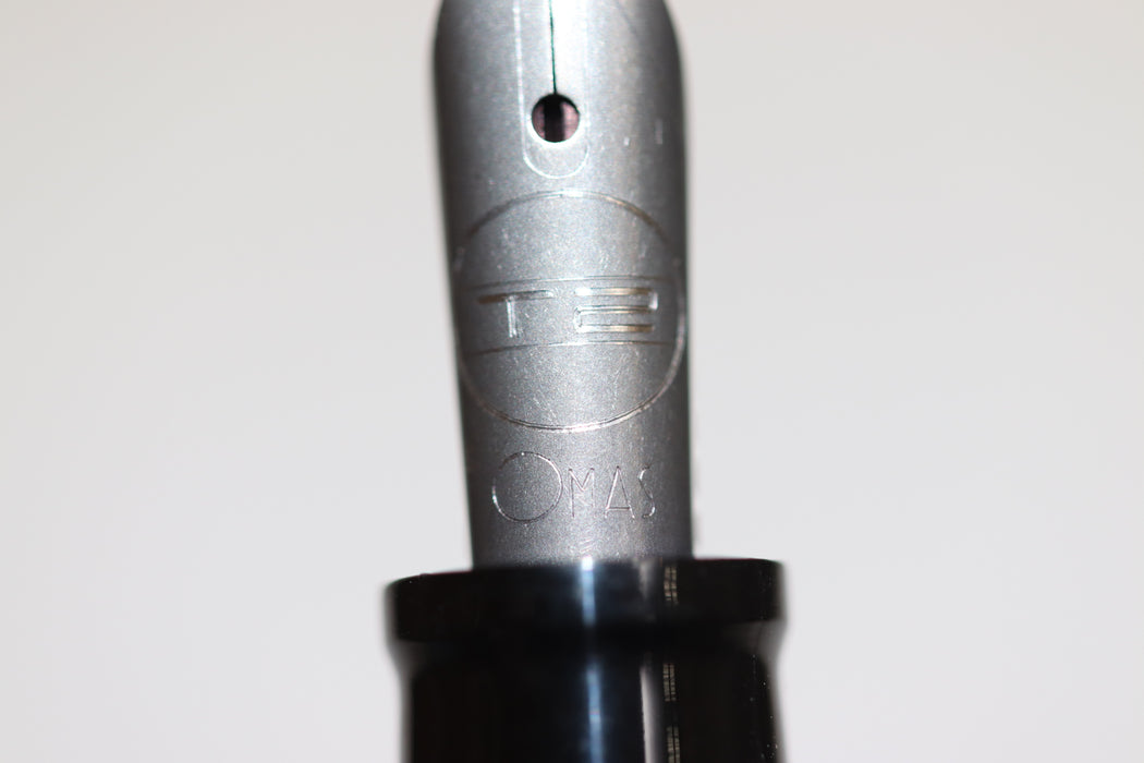 OMAS T2 Titanium Fountain Pen 556 With Case From Japan 081 6405545 - World Quickdo