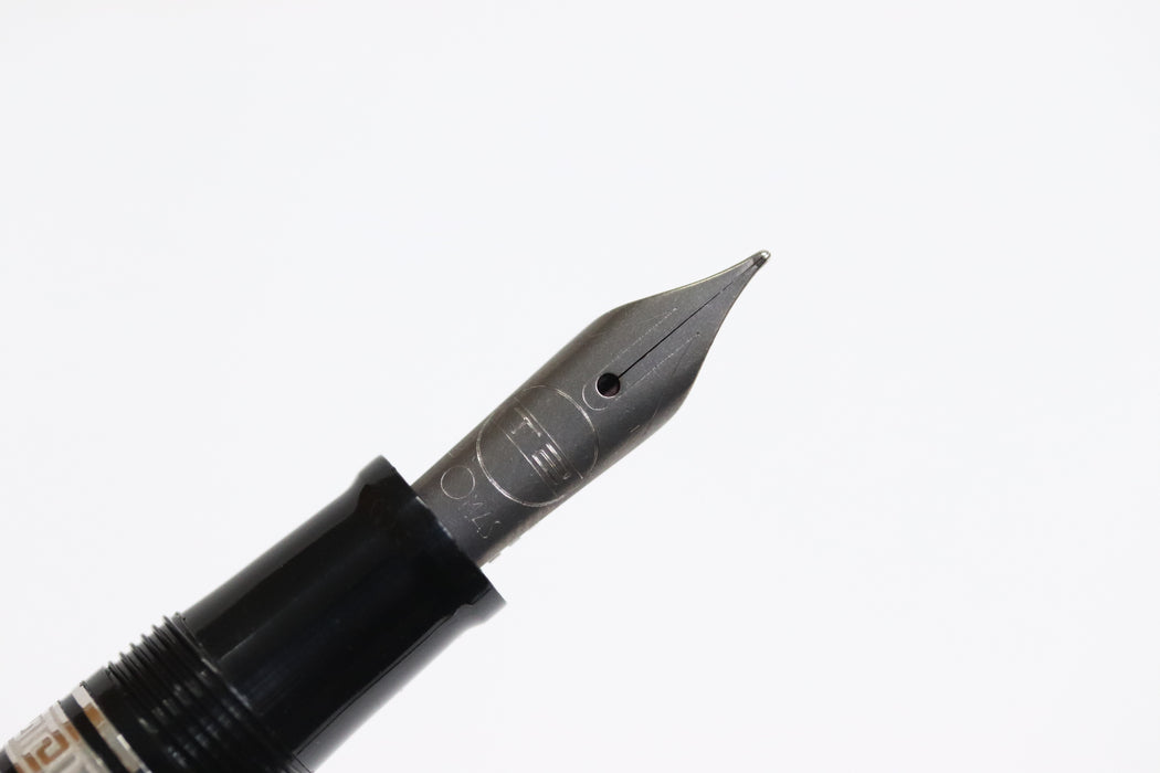 OMAS T2 Titanium Fountain Pen 556 With Case From Japan 081 6405545 - World Quickdo