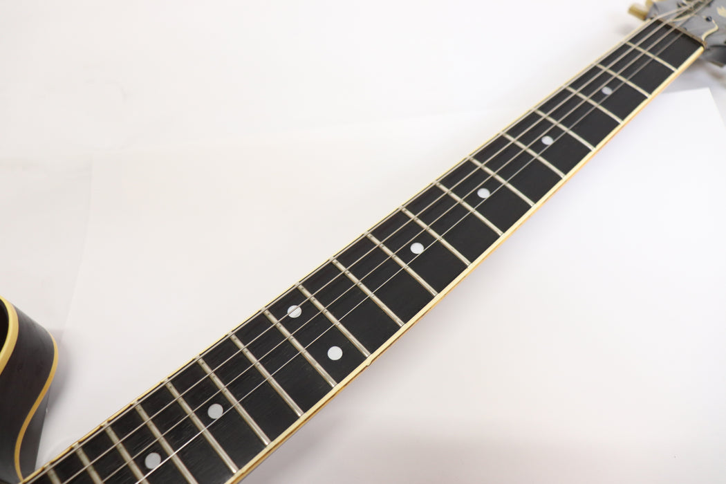 Navigator Semi-Acoustic ES-335 Type Electric Guitar Made in Japan 159 6414658